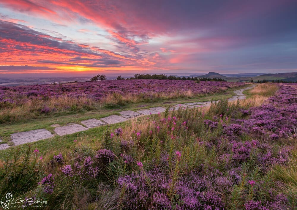 Roseberry Topping To Captain Cook’s Monument - The North Yorkshire Gallery