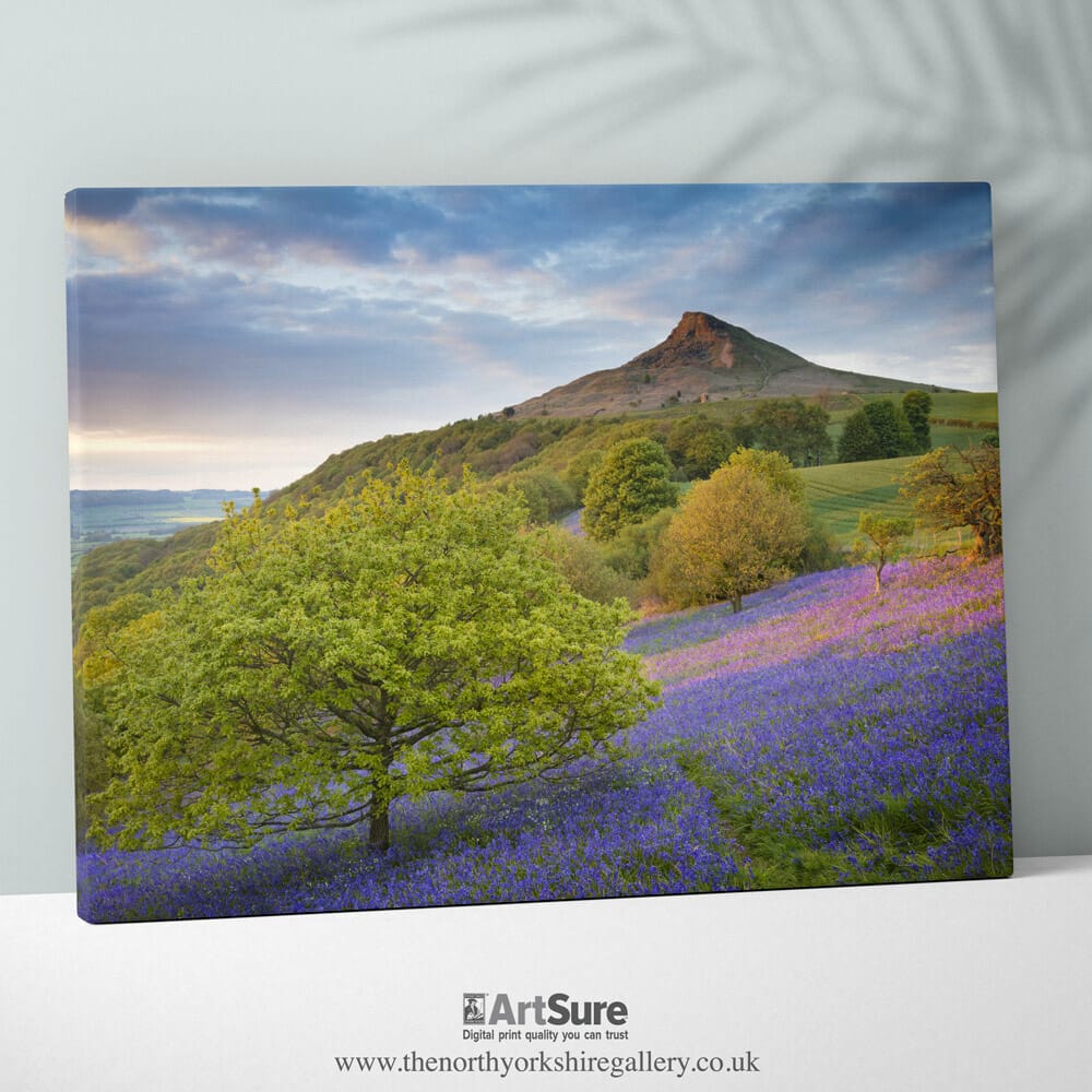 Roseberry Topping Prints - The North Yorkshire Gallery